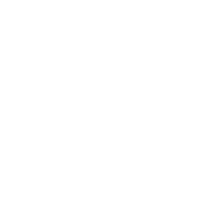 Hoschie1504's emblem