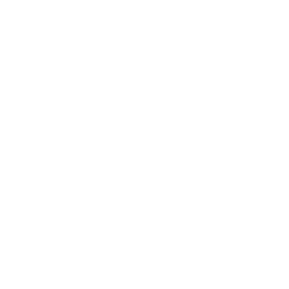 anteriorfir473's emblem