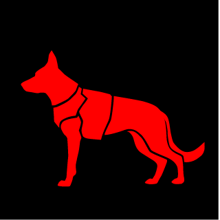 Mr Camo Pants's emblem