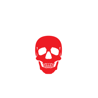 L_L33t's emblem
