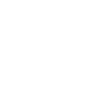ZanorGS's emblem