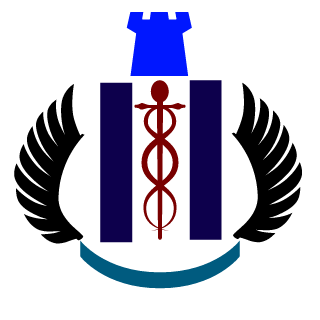 Slaya456's emblem
