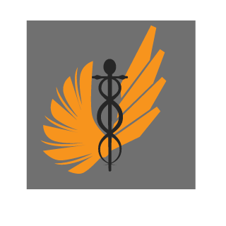 Fo_lols's emblem