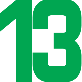 Fleacircus13's emblem