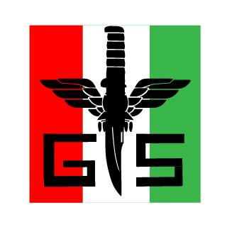 GIS_BlackHawk's emblem