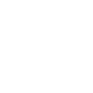 SrZyoN's emblem