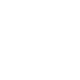 VAP3N8ION's emblem