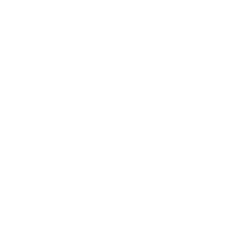 lemisecc's emblem