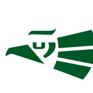 EL_GUERRERO_323's emblem