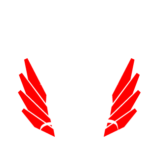 eRyyKpL's emblem