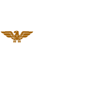 Alekmic's emblem