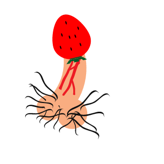 ChamaUPAI's emblem