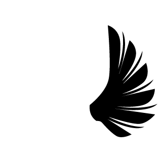 Black_Vanguard07's emblem