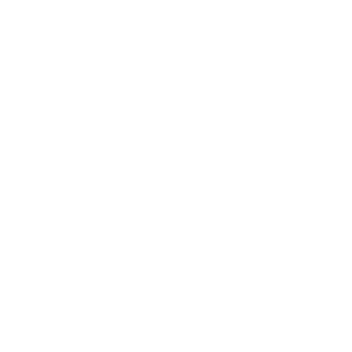 ogo2k's emblem