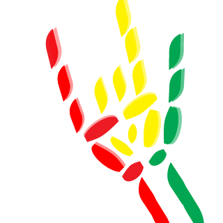 SpaceInvaderZA's emblem