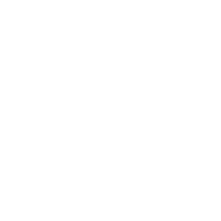 ALLOCHQUE's emblem
