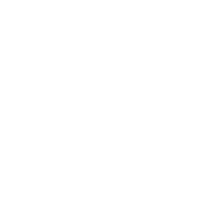 Wron233's emblem