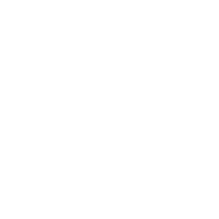 trau271's emblem