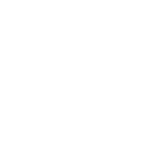 5ofa_king_stupid's emblem