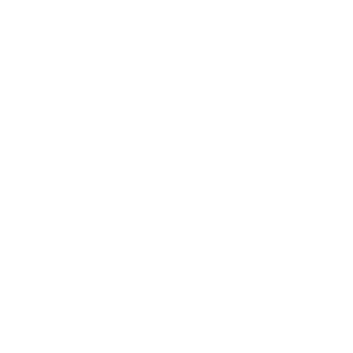 ngovinhphat's emblem