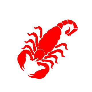 IEROA11's emblem