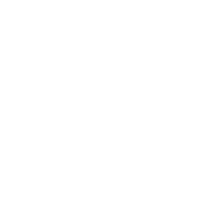 SamJamesV999's emblem