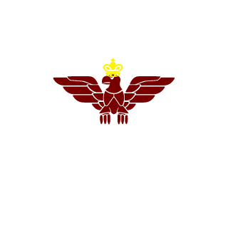 lilmarquinhos's emblem