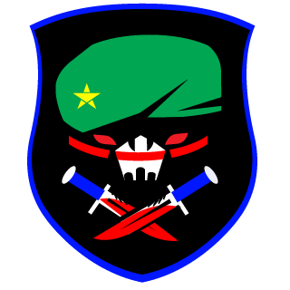 pirat_ea02's emblem