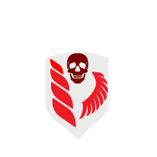 c16df087d5a8797e's emblem