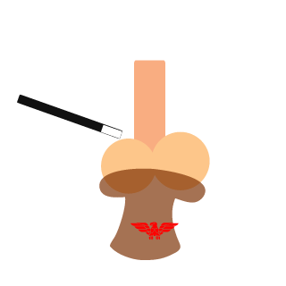 stijndeboe86's emblem
