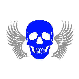 PRO100EXPERT1's emblem