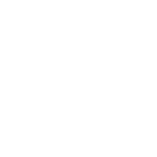 Sknnnr's emblem