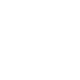 AUNTVT's emblem