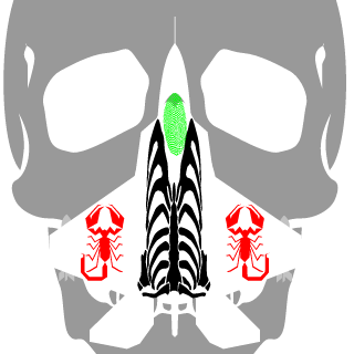 MrFreakUwU's emblem