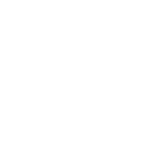 F22_Storm_1's emblem