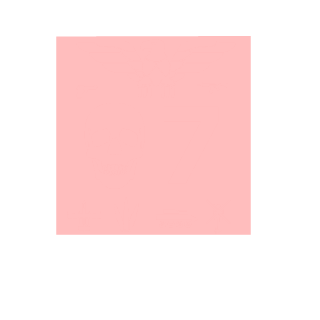 NaraOneOne's emblem