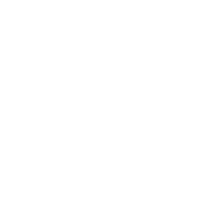 Norppaz42Q's emblem