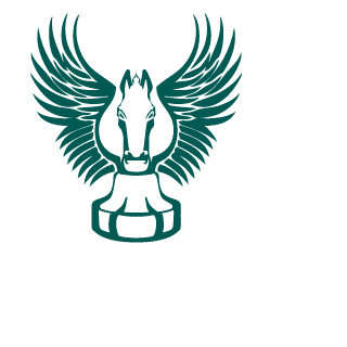 skazit0's emblem