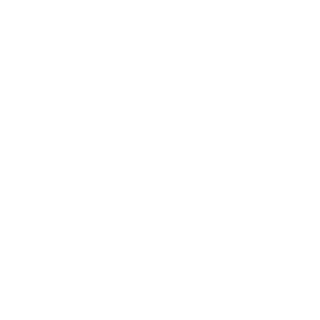 br6nts's emblem