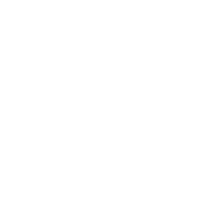 B0rUs's emblem