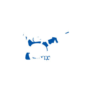 flykiller1ty's emblem