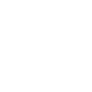simplyPOLO's emblem