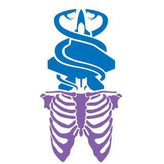 JensderFels's emblem