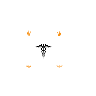 Lonely_Friend221's emblem