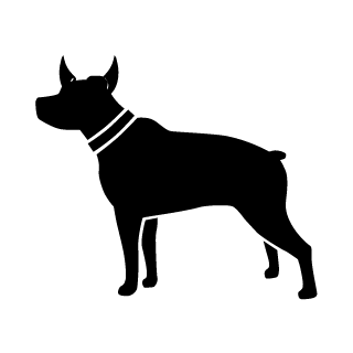 Mr_Bulletsss's emblem