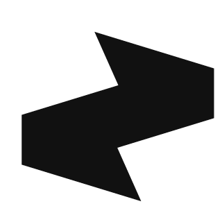 Sasjko851's emblem