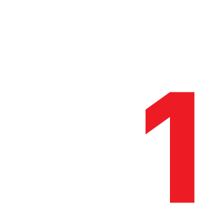 V1EK1NG's emblem