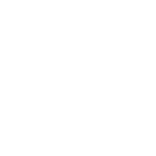 boexoeman's emblem