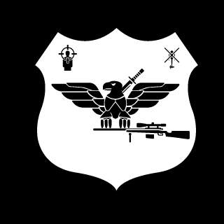 ZeRoWrs's emblem