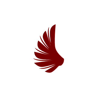 southerncamo's emblem